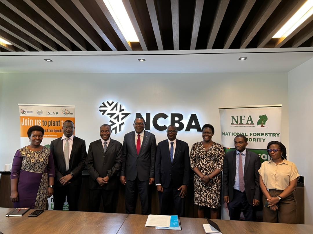 NCBA
