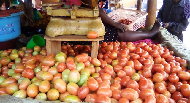 Tomatoes,